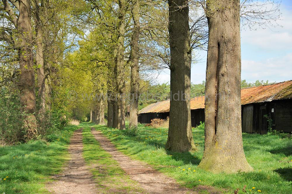 Broekerbos-Woudenberg