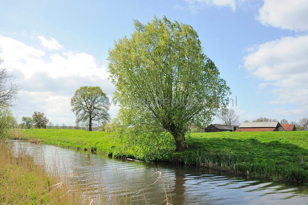 broekerbos_012.jpg