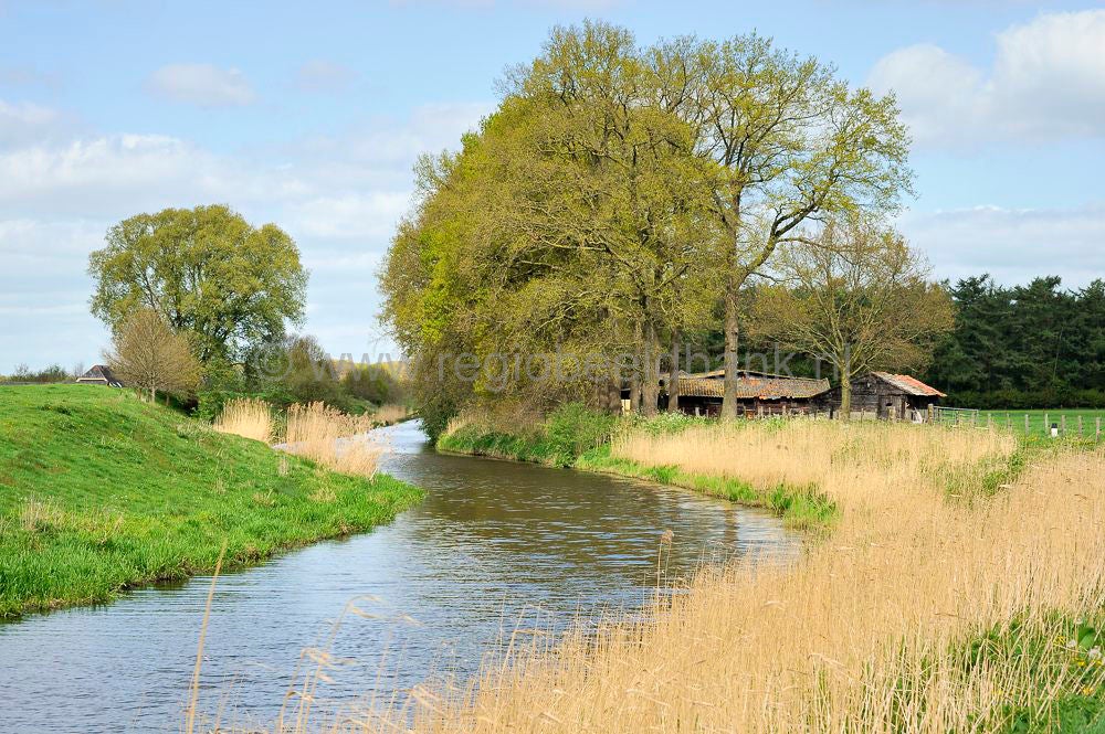 broekerbos_014.jpg