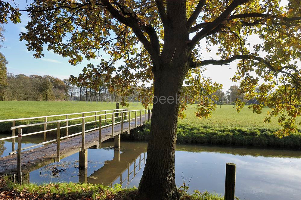 Het Broek