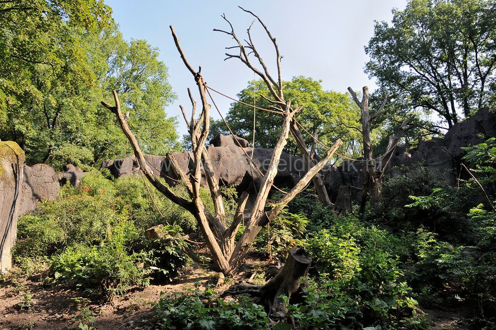 burgers_zoo_006.jpg