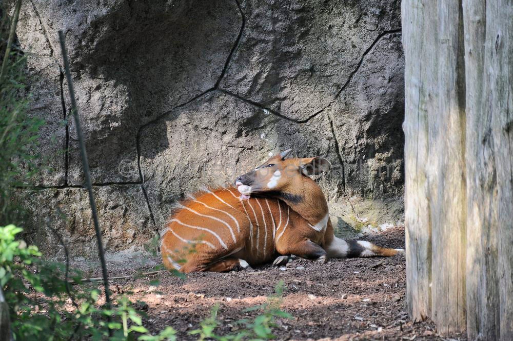 burgers_zoo_008.jpg