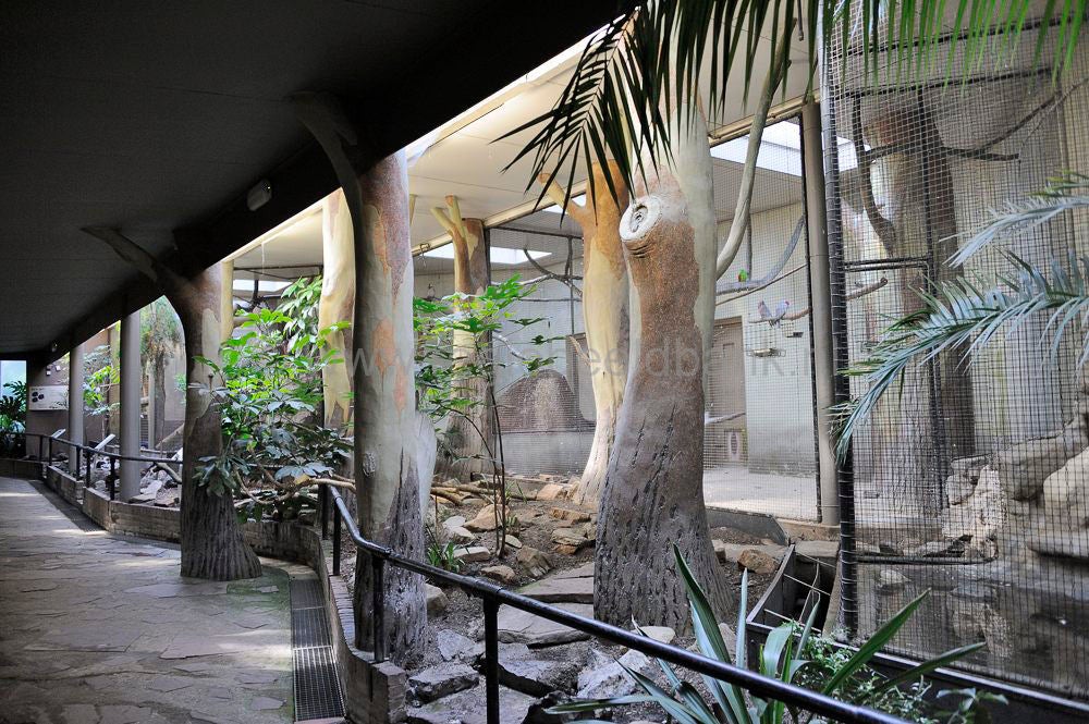 burgers_zoo_010.jpg