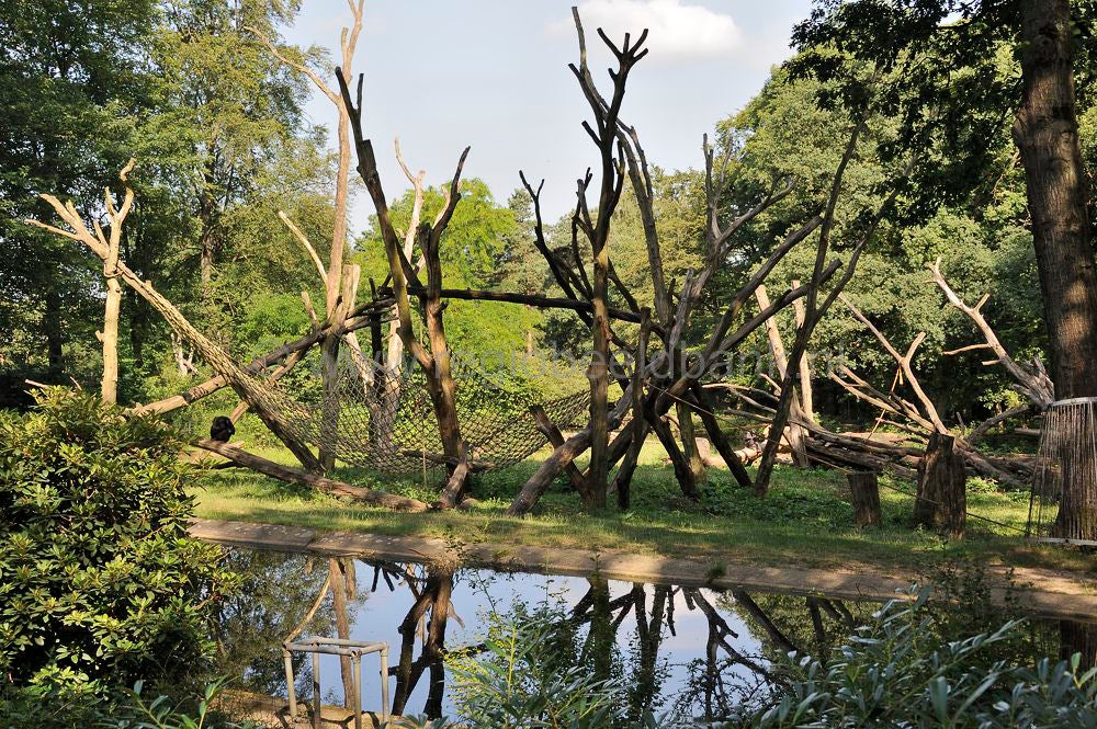 burgers_zoo_012.jpg