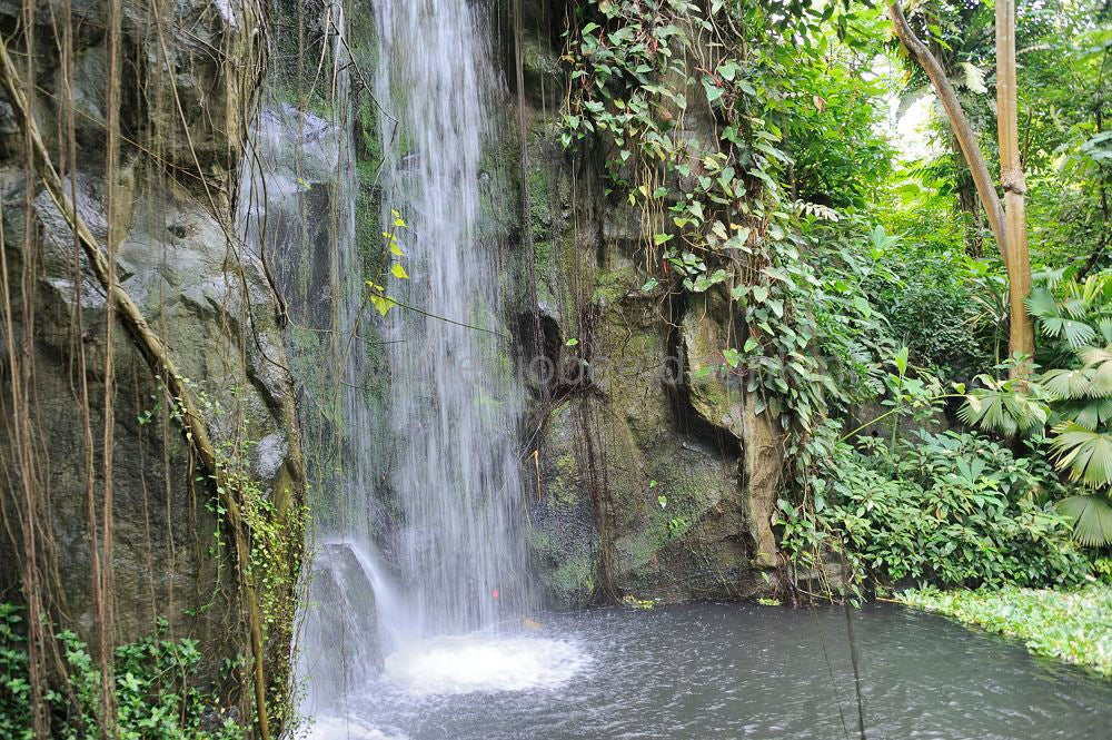 burgers_zoo_023.jpg