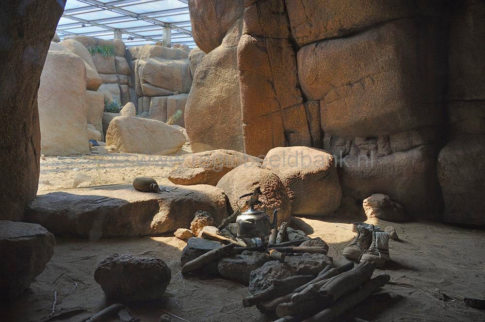 burgers_zoo_029.jpg