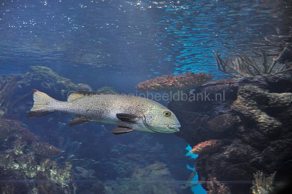 burgers_zoo_037.jpg