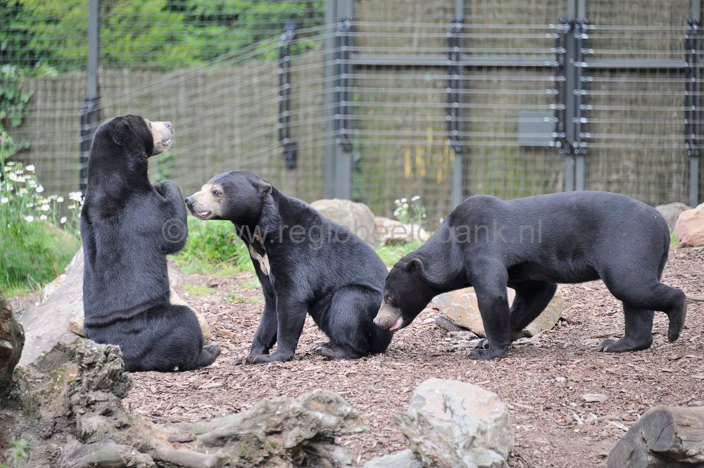 burgers_zoo_041.jpg