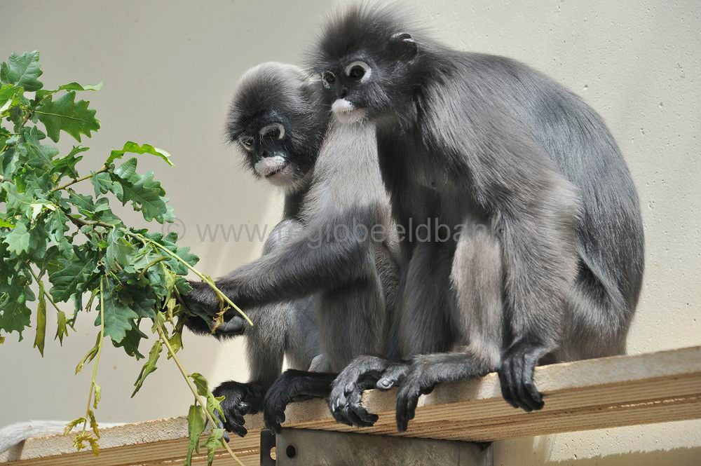burgers_zoo_043-1.jpg
