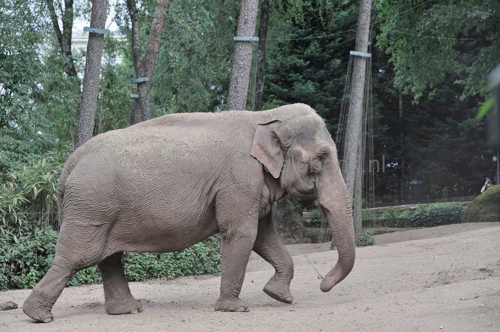 burgers_zoo_045.jpg