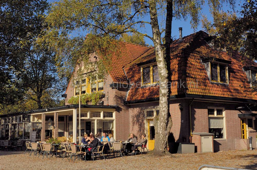 De Dennen