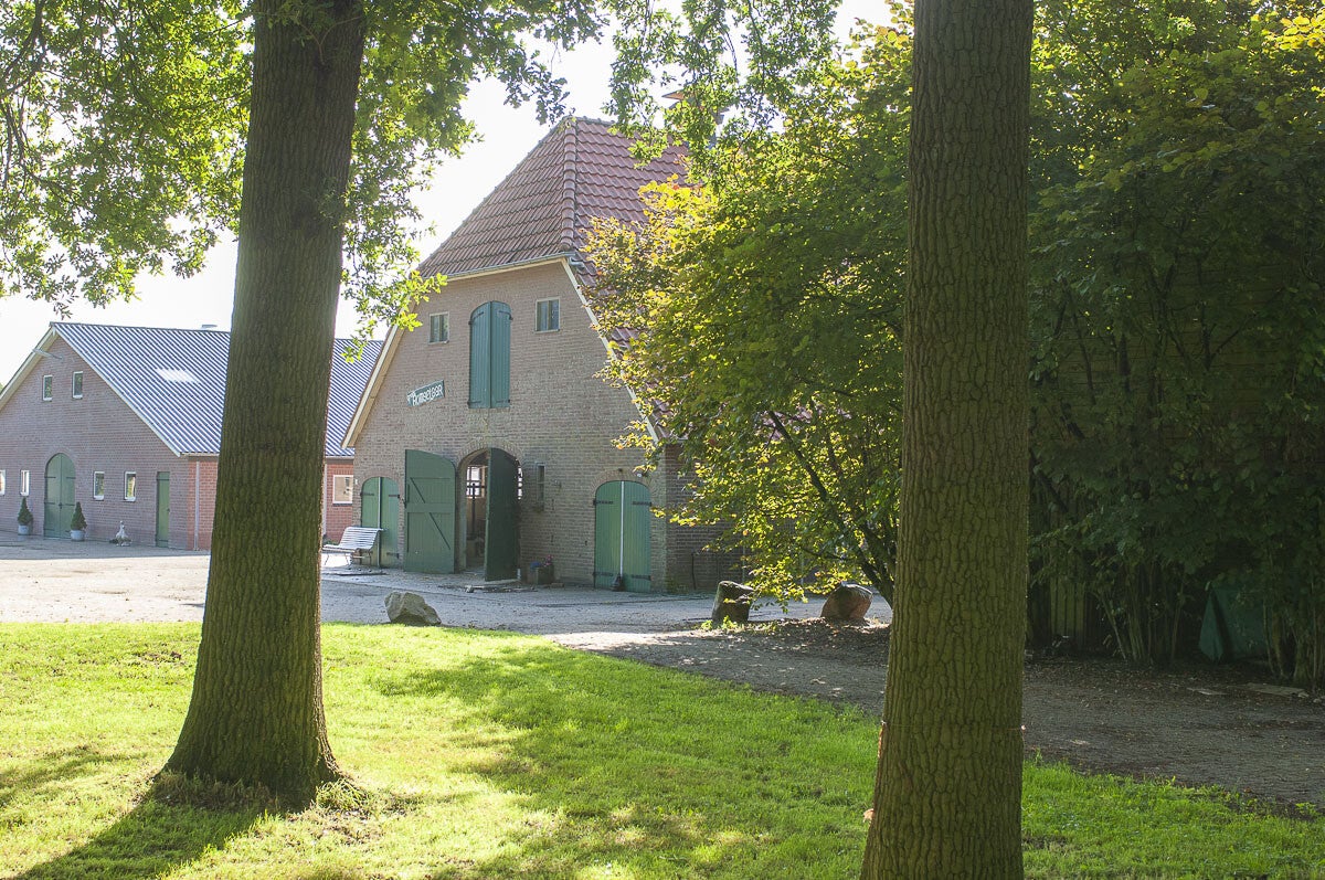 dashorsterpad_038.jpg