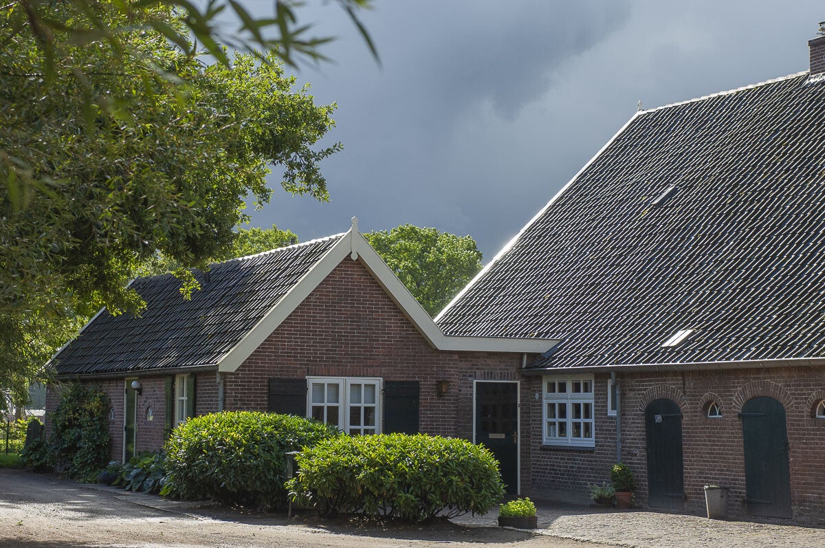 dashorsterpad_056.jpg