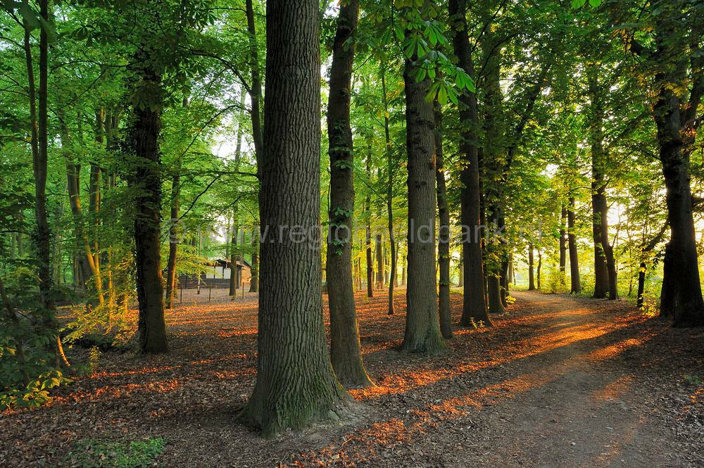 de_koepel_035.jpg