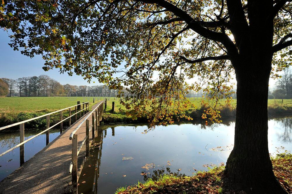 Luntersebeek
