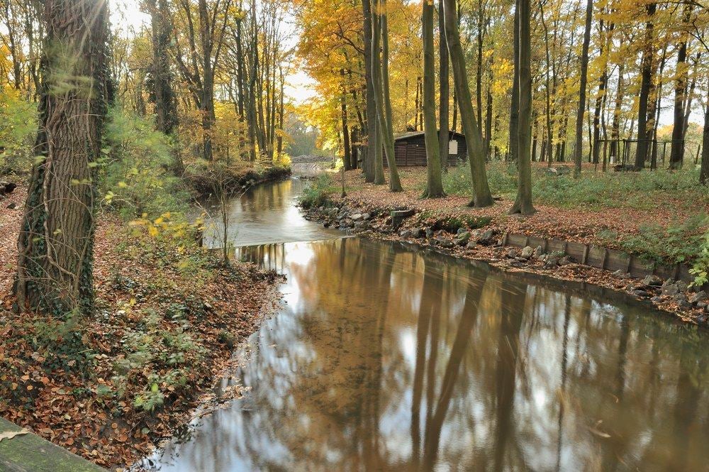 Koepelbeek in herfsttooi