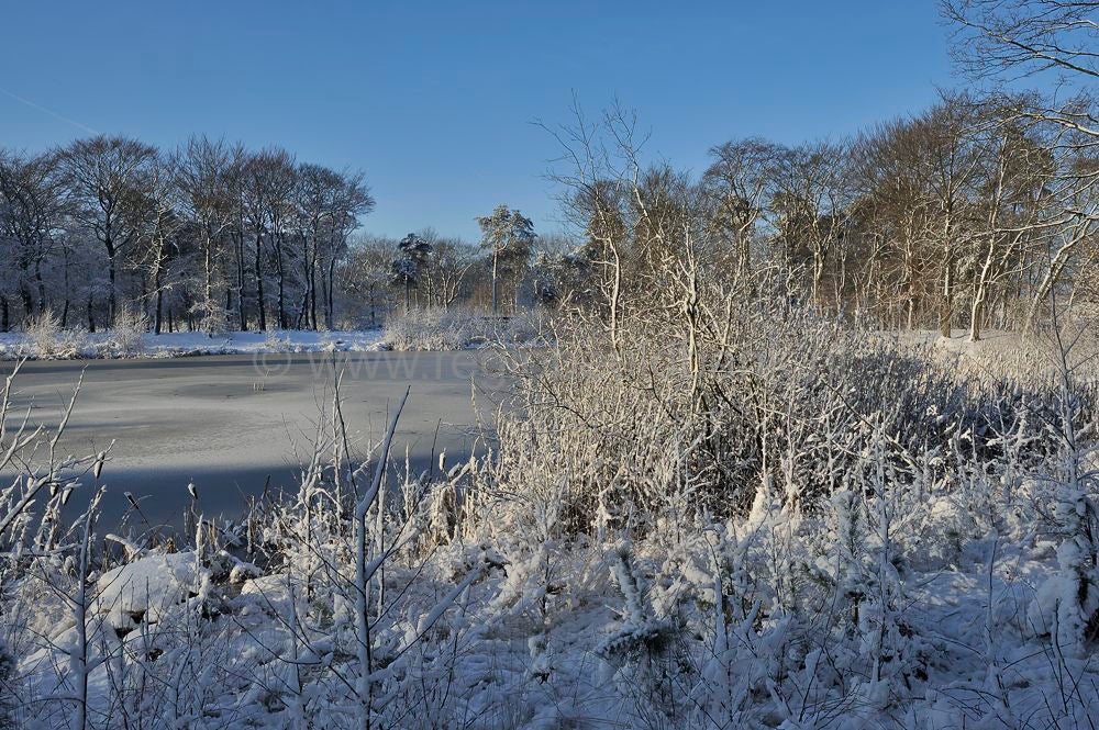 De Kom Maarsbergen