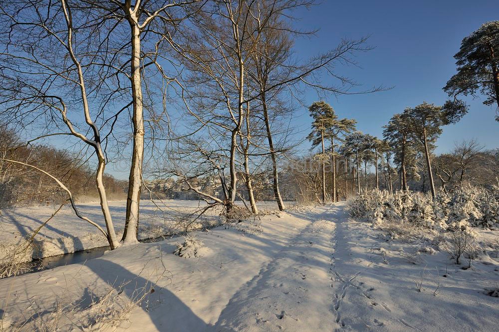 de_kom_maarsber_031.jpg