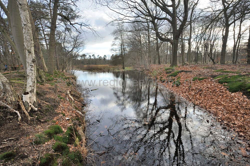 de_kom_maarsbergen_004.jpg