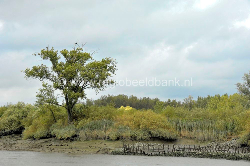 deschelde_antwerpen_017.jpg