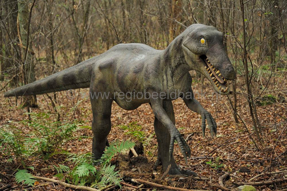 Dinobos Amersfoort