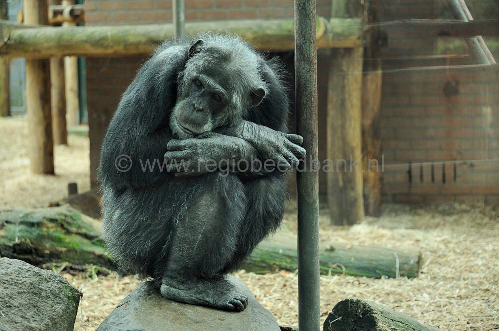 dierenpark_afoo_038.jpg