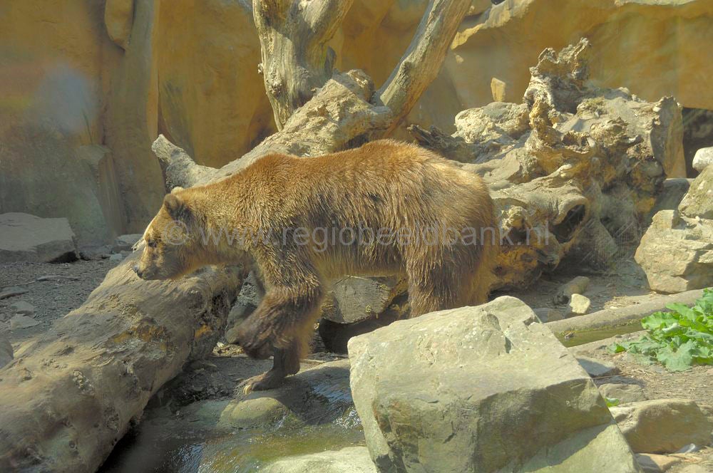 dierenpark_afoo_050.jpg