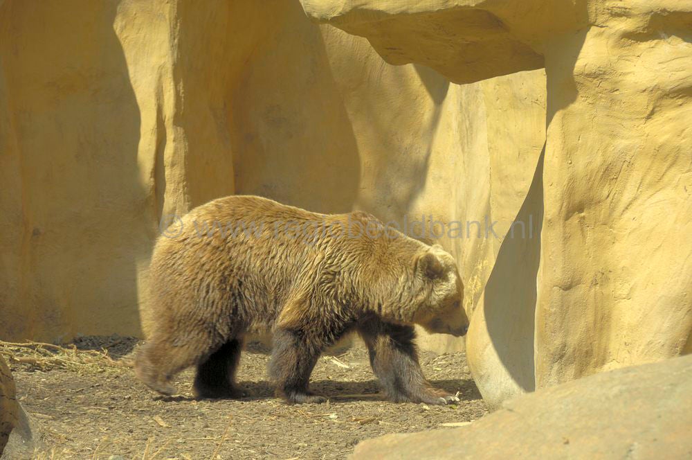 dierenpark_afoo_052.jpg
