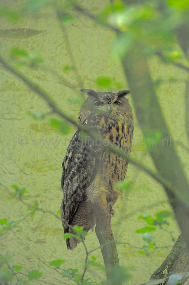 dierenpark_afoo_056.jpg