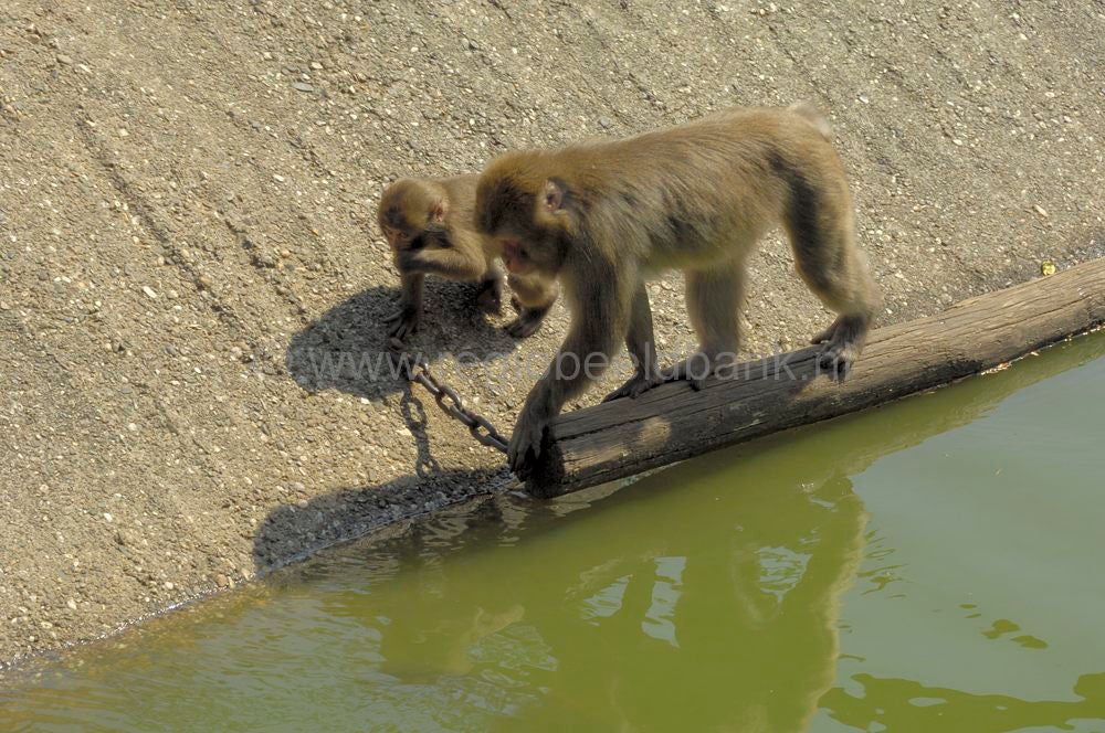 dierenpark_afoo_064.jpg