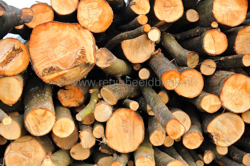 Natuur Elementen 1