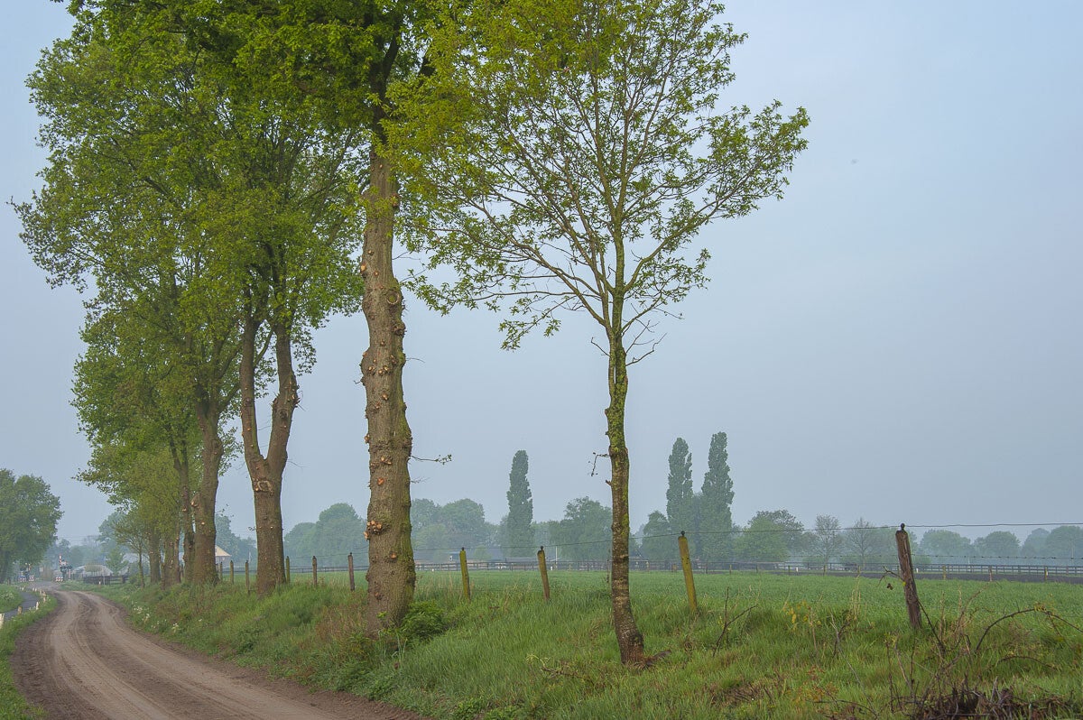doesburgermolenpad_015.jpg