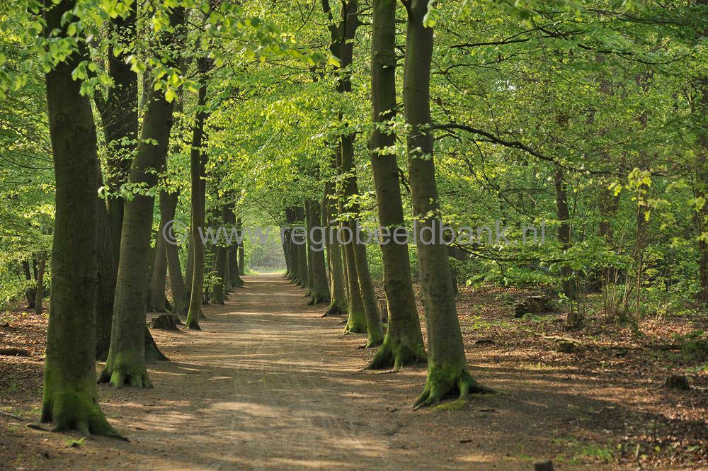 Landgoed Kernhem