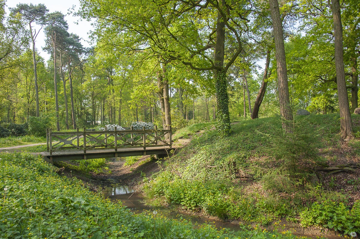 doesburgermolenpad_055-1.jpg