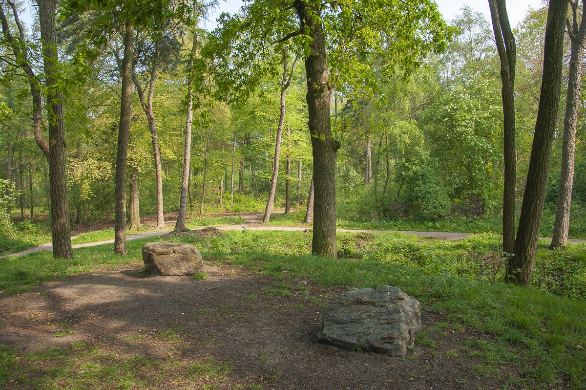 doesburgermolenpad_057-1.jpg