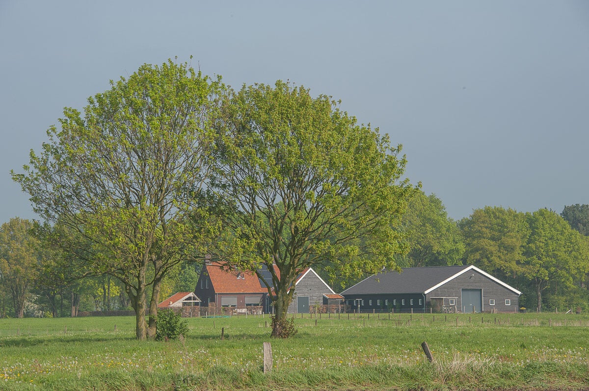 doesburgermolenpad_062.jpg