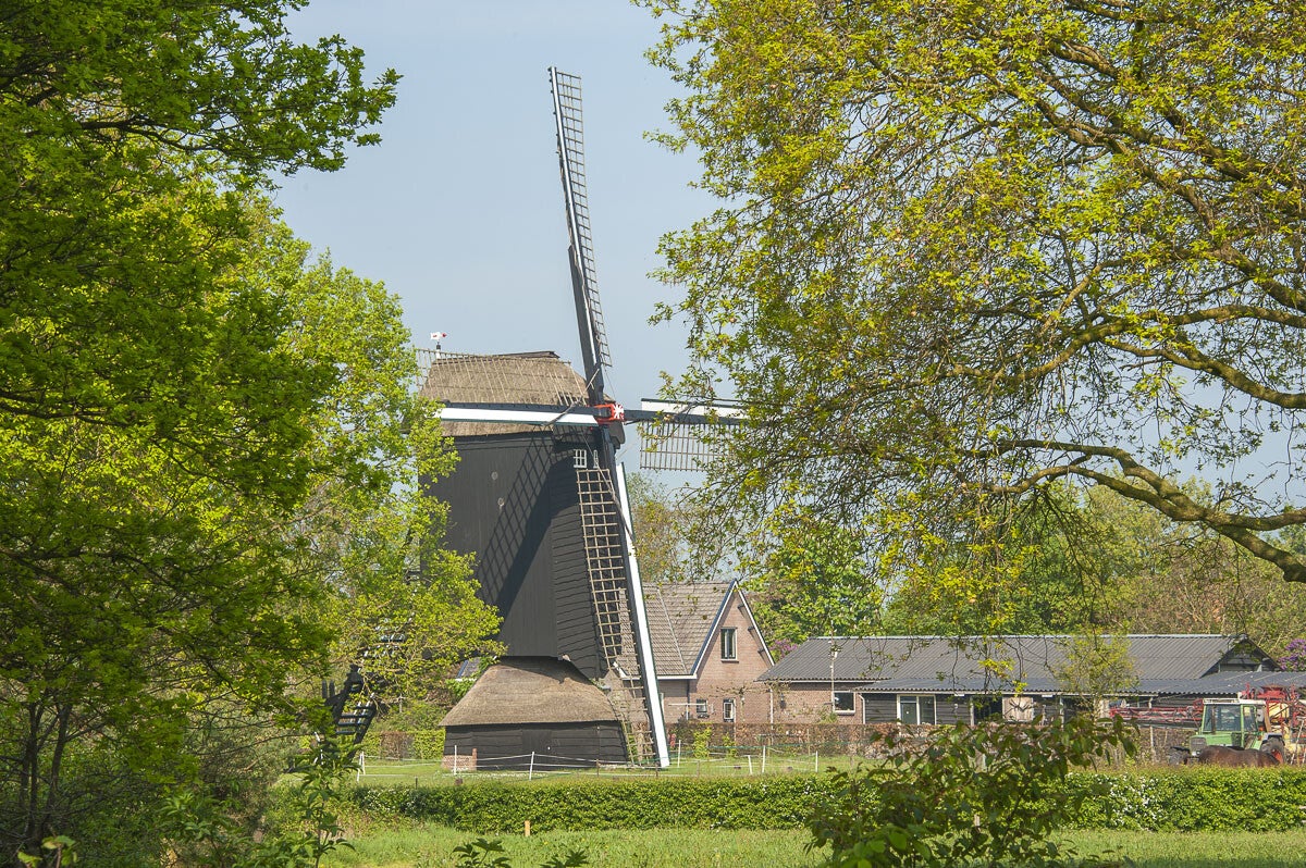 doesburgermolenpad_064.jpg