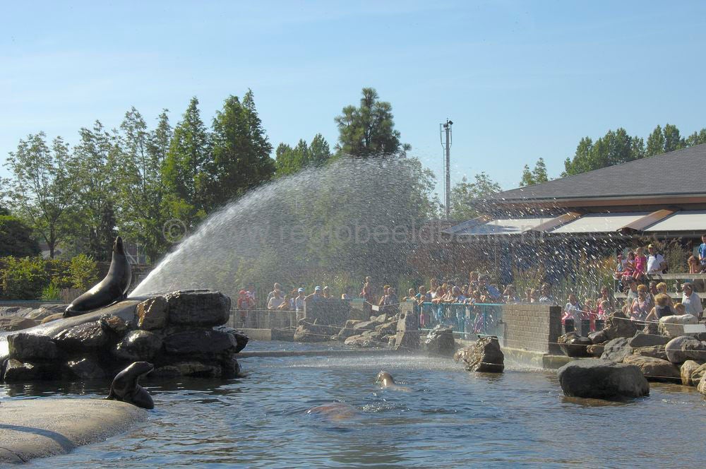 dolfinarium_013.jpg
