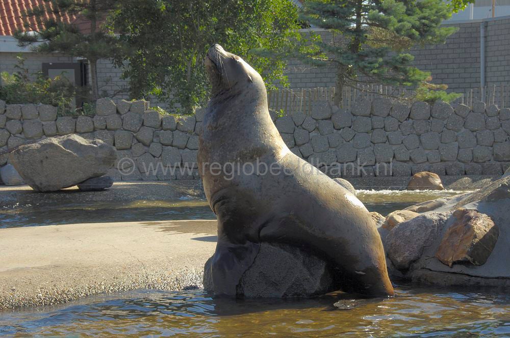 dolfinarium_015.jpg