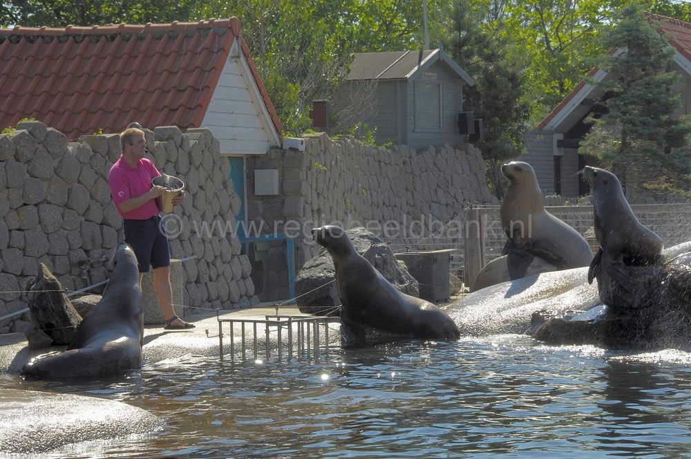 dolfinarium_018.jpg