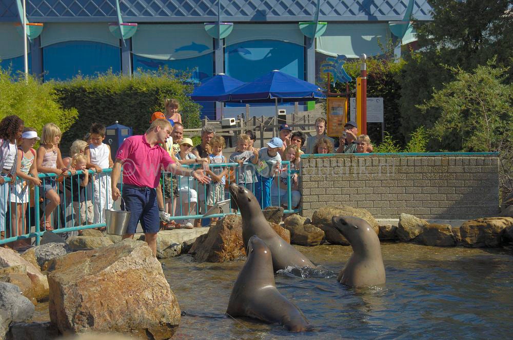 dolfinarium_028.jpg