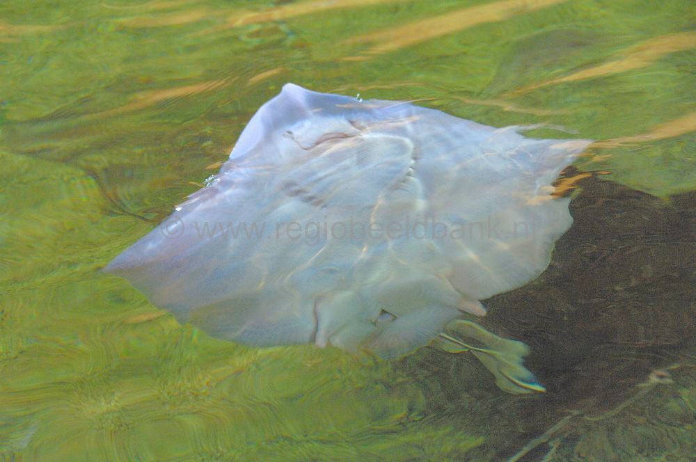 dolfinarium_032.jpg