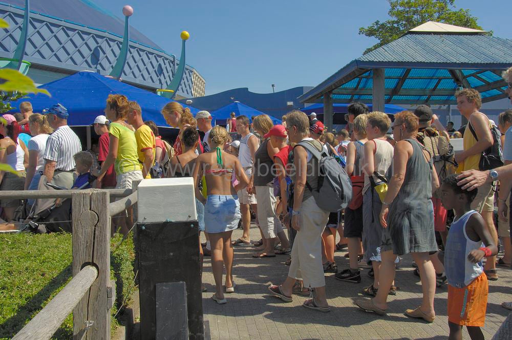 dolfinarium_057.jpg