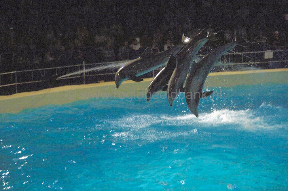 dolfinarium_071.jpg