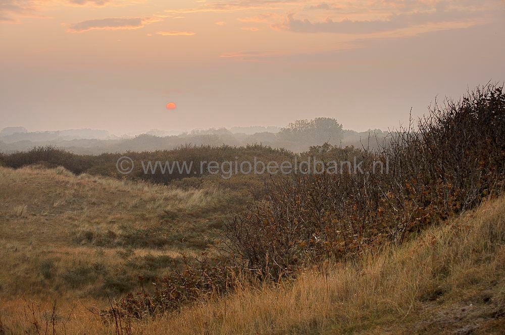 Domburg Duinen