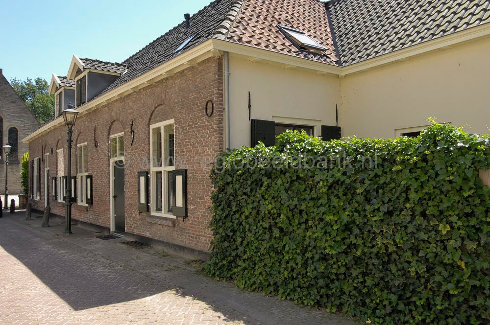 Dorpskern Doorn