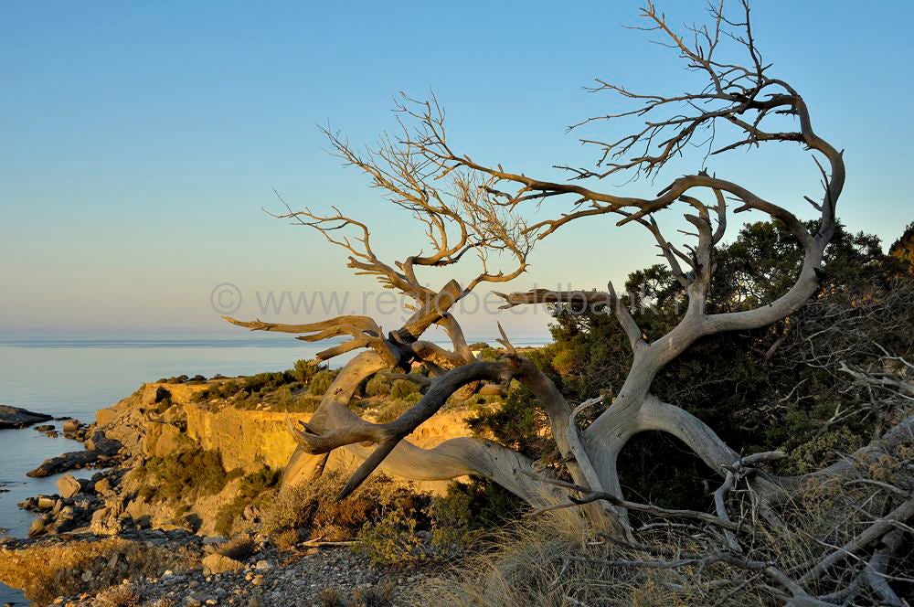 east_crete_landscape_012.jpg