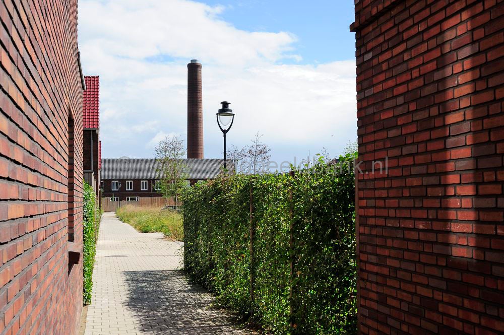 ede_mkb_034.jpg