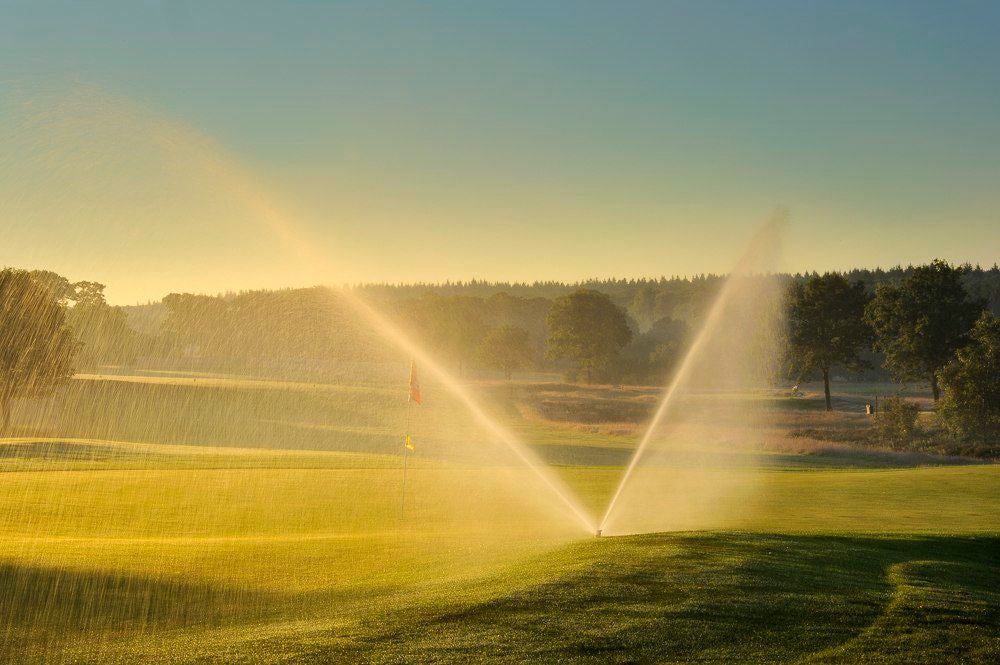 edese_golf_050-kopie.jpg