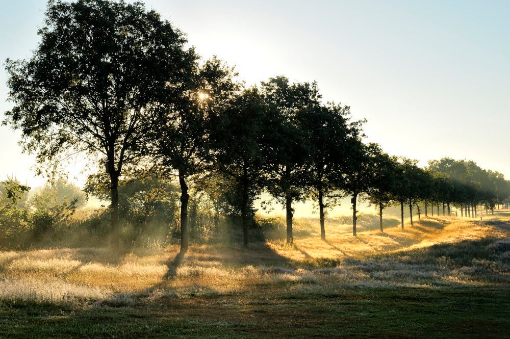 edese_golf_063.jpg